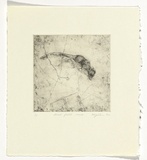 Artist: Myshkin, Tanya. | Title: Dead field mouse | Date: 1990 | Technique: etching, printed in black ink, from one copper plate