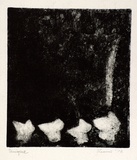 Artist: b'SHEARER, Mitzi' | Title: b'Variation on a theme' | Date: 1978 | Technique: b'etching, printed in black ink, from one  plate'