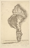 Artist: OAG, Beth | Title: Ballerina | Date: 1989 - 2002 | Technique: softground-etching, printd in black ink, from one plate