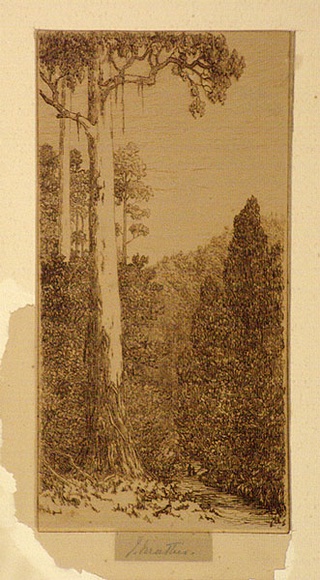 Artist: b'Mather, John.' | Title: b'Fernshaw' | Date: 1913 | Technique: b'etching, printed in brown ink with plate-tone, from one copper plate'