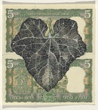 Artist: HALL, Fiona | Title: Cucumis melo var. agrestis - Heln kekkiri (Indian currency) | Date: 2000 - 2002 | Technique: gouache | Copyright: © Fiona Hall