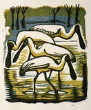 Artist: b'OGILVIE, Helen' | Title: b'Spoonbills' | Date: 1953 | Technique: b'linocut, printed in colour, from multiple blocks'