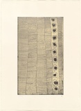 Artist: WARLAPINNI, Freda | Title: not titled (geometic composition of lines and dots) | Date: 1999, May - June | Technique: etching, intaglio and relief printed in colour, from one plate | Copyright: © Freda Warlapinni, Jilamara Arts and Craft
