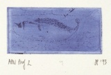 Artist: Palethorpe, Jan | Title: not titled [tilted head] | Date: 1993 | Technique: etching, printed in blue ink, with plate-tone, from one plate