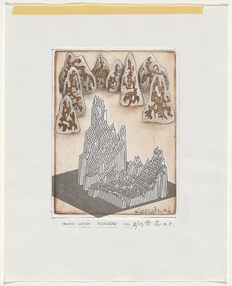 Title: b'Hidden layer - Kakadu' | Date: 1996 | Technique: b'etching and embossing, printed in black and brown ink, from two plates'