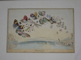 Title: b'E-migration or a flight of fair game.' | Date: 1832 | Technique: b'lithograph, printed in black ink, from one stone; hand-coloured'