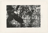 Artist: SIBLEY, Dan | Title: Not titled (Paulie's world). | Date: 2003 | Technique: lithograph, printed in black ink, from one stone [or plate]