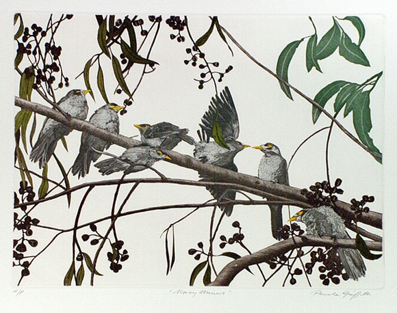 Artist: b'GRIFFITH, Pamela' | Title: b'Noisy Miners' | Date: 1989 | Technique: b'hard ground, aquatint, burnishing, hand tinting  on one copper plate' | Copyright: b'\xc2\xa9 Pamela Griffith'