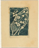 Artist: b'Syme, Eveline' | Title: b'Greeting card: Christmas 1954' | Date: 1954 | Technique: b'linocut, printed in green ink, from one block'