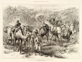 Artist: Young, Jesse. | Title: The Australian exploring expedition travelling through the scrub | Date: c.1876 | Technique: wood-engraving, printed in black ink, from one block