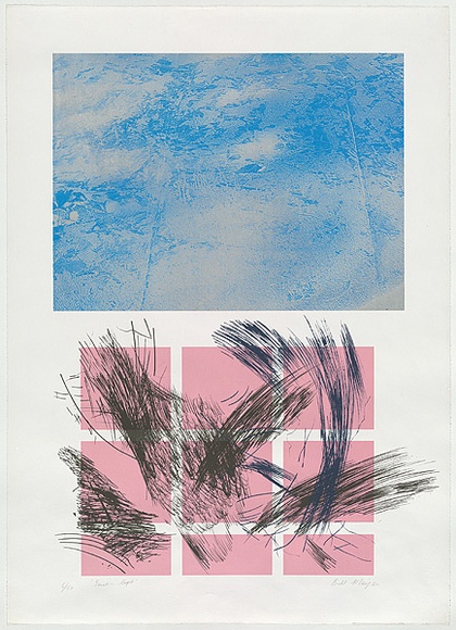 Artist: b'MEYER, Bill' | Title: b'Genetic light' | Date: 1981 | Technique: b'screenprint, printed in colour, from five stencils (photo and hand-cut, indirect)' | Copyright: b'\xc2\xa9 Bill Meyer'