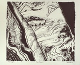 Artist: Hillard, Merris. | Title: Tree trunk I | Date: c.1986 | Technique: lithograph, printed in black ink, from one stone