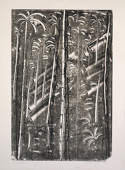 Artist: b'Forbes, Clem.' | Title: b'Rainforest.' | Date: 1977 | Technique: b'monoprint, printed in black ink, from one plate'