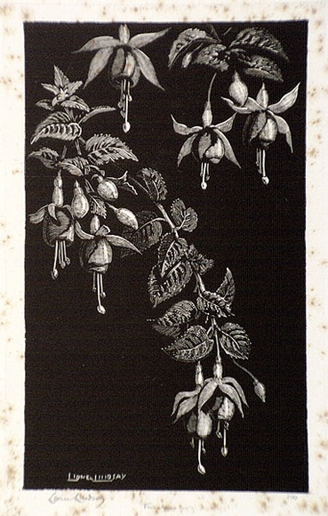 Artist: b'LINDSAY, Lionel' | Title: b'Fuchsias' | Date: 1939 | Technique: b'wood-engraving, printed in black ink, from one block' | Copyright: b'Courtesy of the National Library of Australia'