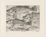 Artist: VIRGO, Anne | Title: Gone fishing | Date: 1999 | Technique: etching; collaged addition of cotton and metal hooks