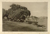 Artist: b'LINDSAY, Lionel' | Title: bThe great fig tree, Berry's Bay, Sydney | Date: 1923 | Technique: b'spirit-aquatint and roulette, printed in black ink, from one plate' | Copyright: b'Courtesy of the National Library of Australia'