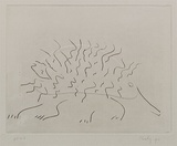 Artist: b'Risley, Tom.' | Title: b'not titled [echidna] [set of 3 etchings #2]' | Date: 1990 | Technique: b'etching, printed in black ink, from one plate; with embossing'