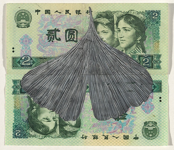 Artist: HALL, Fiona | Title: Gingko biloba - Gingko (Chinese currency) | Date: 2000 - 2002 | Technique: gouache | Copyright: © Fiona Hall