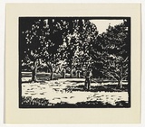 Artist: Mills, Frank. | Title: Gardener, University | Date: (1946) | Technique: linocut