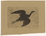 Artist: b'WILLIAMS, Fred' | Title: b'Night heron' | Date: 1962 | Technique: b'etching, aquatint and engraving, printed in black ink, from one copper plate' | Copyright: b'\xc2\xa9 Fred Williams Estate'