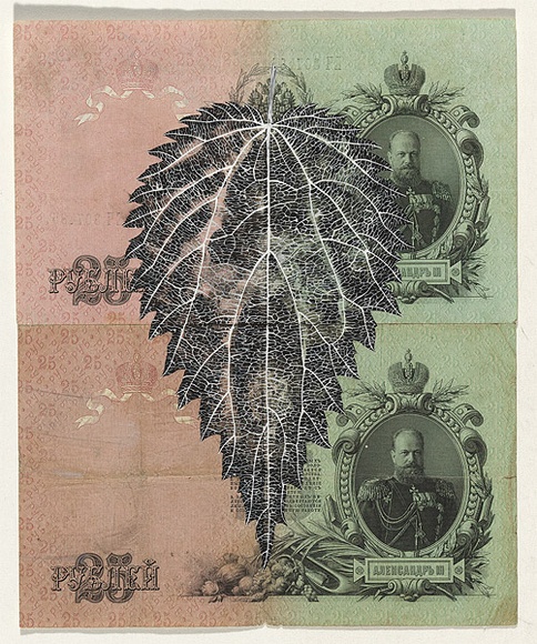 Artist: b'HALL, Fiona' | Title: b'Urtica dioica - Nettle (Russian currency)' | Date: 2000 - 2002 | Technique: b'gouache' | Copyright: b'\xc2\xa9 Fiona Hall'