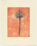 Artist: b'Watson, Judy.' | Title: b'Sand palm/resilience' | Date: 2006 | Technique: b'etching, printed in colour, from two plates'