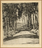 Artist: Darbyshire, Beatrice. | Title: The road to Balingup. | Date: c.1933 | Technique: etching, printed in warm black ink with plate-tone, from one copper plate