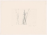 Artist: MOSS, Damian | Title: Trees 4 | Date: 2004 | Technique: etching, printed in black ink, from one plate