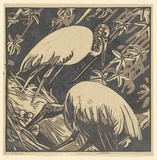 Artist: Olsen, Betty | Title: not titled [two birds] | Date: c.1942 | Technique: linocut, printed in colour, from multiple blocks