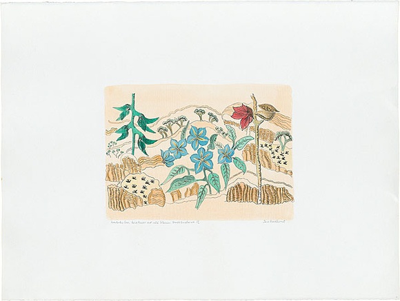 Artist: Bradhurst, Jane. | Title: Kimberley rose, bird flower and wild solanum, Bungle Bungles WA. | Date: 1997 | Technique: lithograph, printed in colour, from multiple stones; hand-coloured