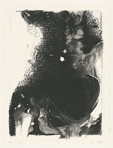 Artist: b'Kelly, William.' | Title: b'X-Ray.' | Date: 1988-93 | Technique: b'screenprint, printed in black ink, from one stencil'