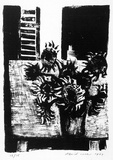 Artist: b'ROSE, David' | Title: b'Sunflowers in vase' | Date: 1964 | Technique: b'lithograph, printed in black ink, from one stone'