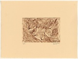 Artist: SIMMS, Sara | Title: not titled [snake] | Date: 2004 | Technique: drypoint etching, printed in brown ink, from one perspex plate