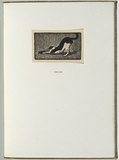 Artist: LINDSAY, Lionel | Title: The cat | Date: 1922 | Technique: wood-engraving, printed in black ink, from one block | Copyright: Courtesy of the National Library of Australia