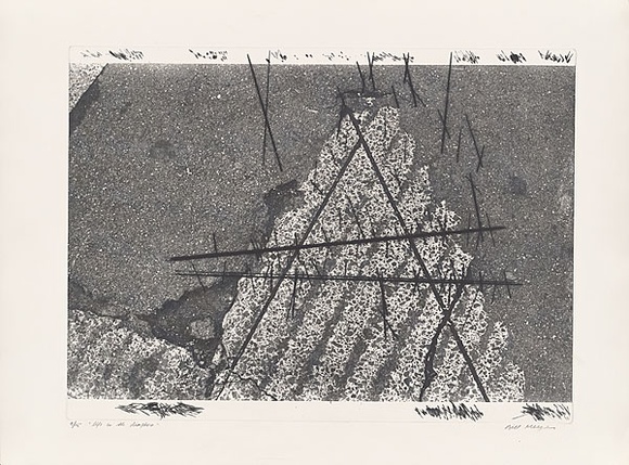 Artist: b'MEYER, Bill' | Title: b'Life in the Diaspora' | Date: 1981 | Technique: b'photo-etching, aquatint, drypoint, printed in black ink, from one zinc plate (mitsui pre-coated photo plate)' | Copyright: b'\xc2\xa9 Bill Meyer'