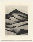 Artist: b'Atkins, Ros.' | Title: b'Still' | Date: 1999, November | Technique: b'etching and engraving, printed in black ink with plate-tone, from one plate'