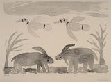 Artist: b'Jirwulurr Johnson, Amy.' | Title: b'not titled (waterbuffalos and birds)' | Date: 2000, November | Technique: b'lithograph, printed in black ink, from one aluminium plate'