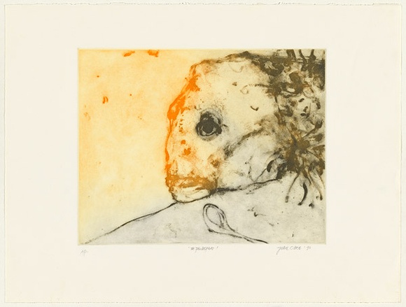Artist: Olsen, John. | Title: The Philosopher | Date: 1990 | Technique: aquatint, printed in colour with plate-tone, from one plate | Copyright: © John Olsen. Licensed by VISCOPY, Australia