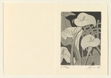 Artist: EWINS, Rod | Title: (Arum lilies). | Date: 1983, December | Technique: line-engraving and aquatint, printed in black ink, from one plate