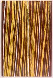 Artist: b'Tjupurrula, Turkey Tolsen' | Title: b'not titled [straightening the spears]' | Date: 1992 | Technique: b'woodcut, printed in colour, from three blocks'