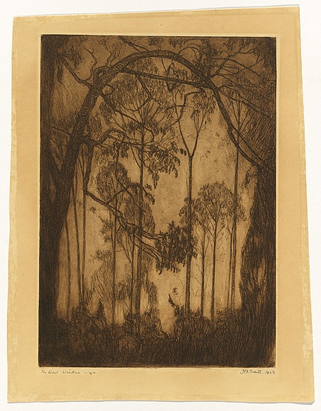 Artist: TRAILL, Jessie | Title: The west window | Date: 1922 | Technique: etching and drypoint, printed in warm black ink with plate-tone, from one plate