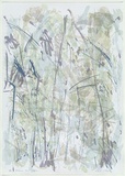 Artist: b'MEYER, Bill' | Title: b'Holcombe Forest triptych' | Date: 1988 | Technique: b'screenprint, printed in colour, from multiple stencils' | Copyright: b'\xc2\xa9 Bill Meyer'