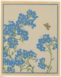 Artist: b'Thorpe, Hall.' | Title: b'Anchusa' | Date: c.1925 | Technique: b'woodcut, printed in colour, from multiple blocks'
