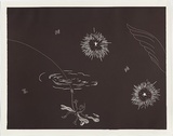 Artist: b'COLEING, Tony' | Title: b'Battlefield (wing and two large stars).' | Date: 1986 | Technique: b'linocut, printed in black ink, from one block'