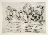 Artist: b'SHEARER, Mitzi' | Title: b'They pleaded ignorance. First part' | Date: c.1984 | Technique: b'etching, printed in black ink with plate-tone, from one  plate'