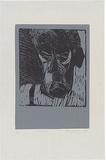 Artist: b'WALKER, Murray' | Title: b'Old Bill.' | Date: 1964 | Technique: b'woodcut, printed in warm grey and black ink, from two blocks'