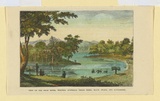 Title: View of the Swan River, Western Australia (grass trees, black swans, and kangaroos). | Date: 1880s | Technique: engraving, printed in black ink, from one plate; hand-coloured at a later date