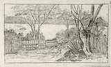 Artist: SIDMAN, William | Title: A peep from the Botanical Gardens | Date: 1890s | Technique: etching, printed in black ink, from one copper plate
