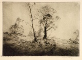 Artist: b'Boyd, Penleigh.' | Title: b'(Trees in a landscape).' | Date: c.1921 | Technique: b'drypoint, printed in warm black ink with plate-tone, from one plate'