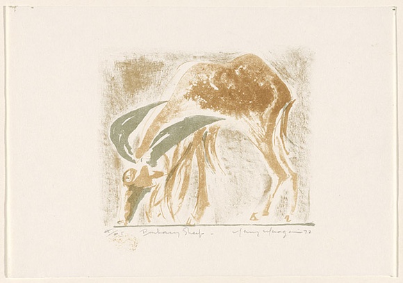 Artist: MACQUEEN, Mary | Title: Barbary sheep | Date: 1972 | Technique: lithograph, printed in colour, from multiple plates | Copyright: Courtesy Paulette Calhoun, for the estate of Mary Macqueen
